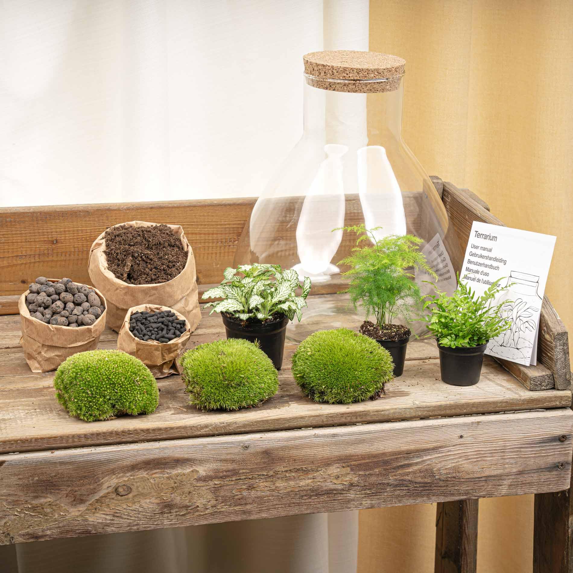 Kit DIY Terrarium • Sam XL • Écosystème avec Plantes • ↑ 35 cm