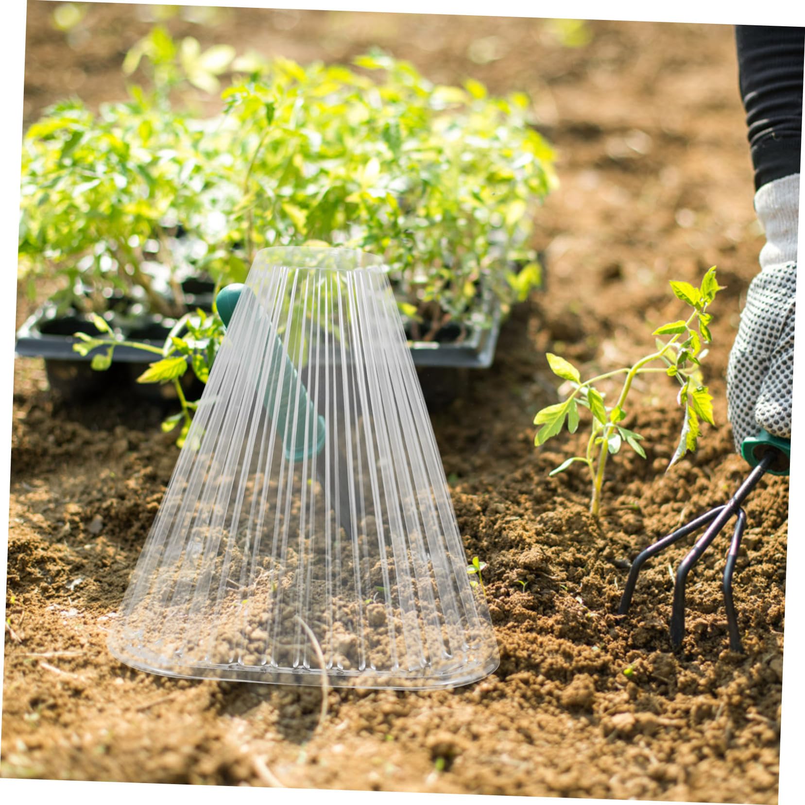 10pièces Cloche De pour Plantes De Transparent avec Ventilation pour Et Gel Chaleur Jardin