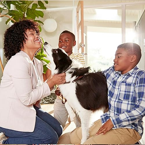 Miniatura 10 de Filtrete - Paquete de 6 filtros de aire para sistemas de climatización centralizada de 1900 MPR, que filtran alérgenos por completo para una vida