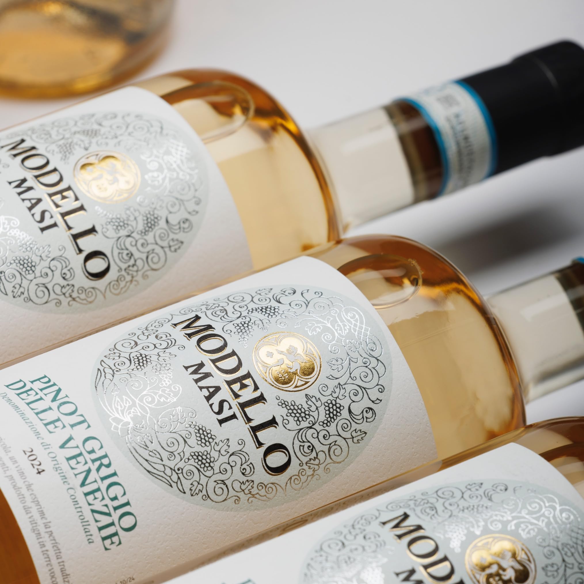 MASI "MODELLO PINOT GRIGIO" 2024 | Pinot Grigio delle Venezie DOC | 6x750 ml | Caja de 6 botellas
