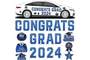 Class of 2020 Magnet Car Decorations