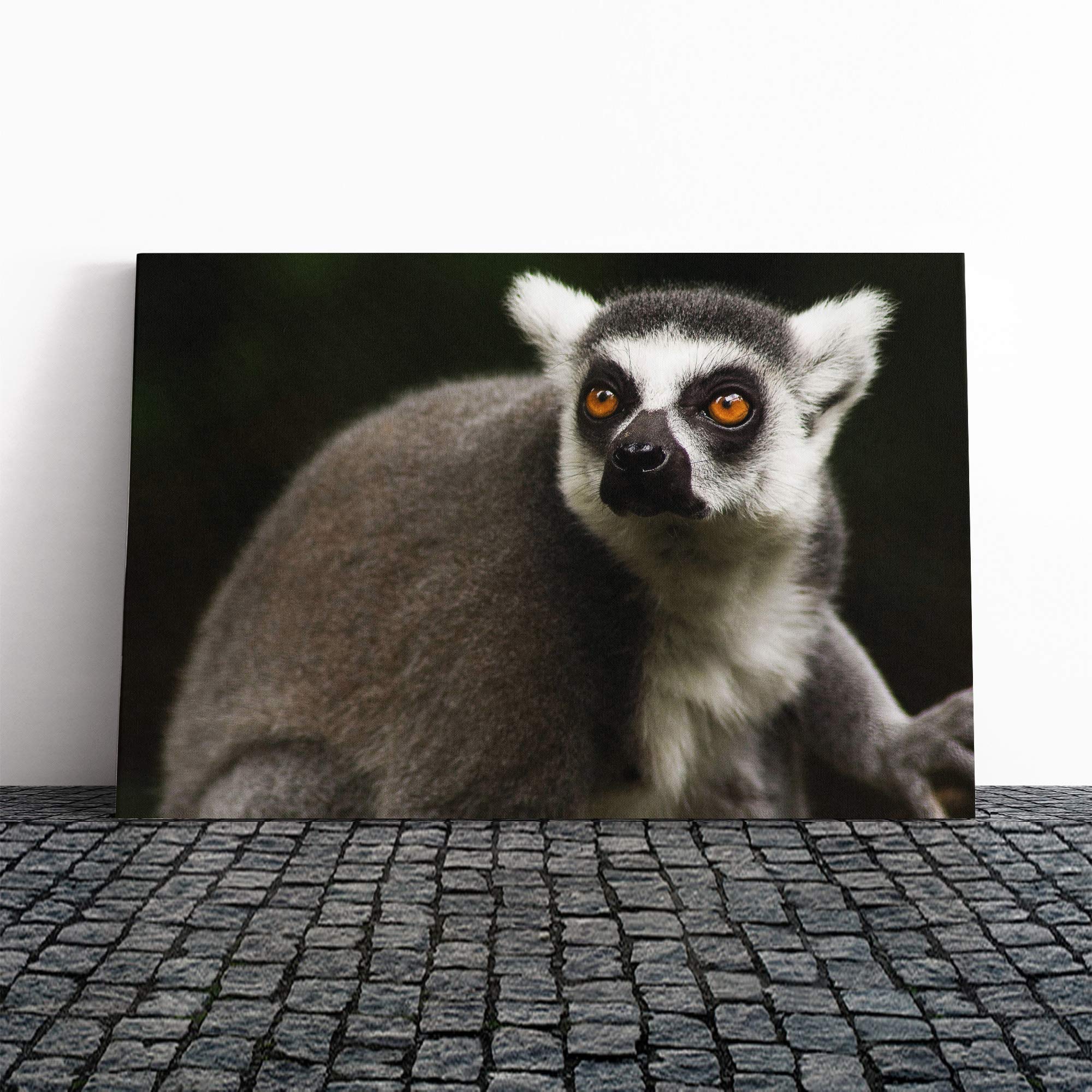 Lemur Canvas Print | Gallery Wrapped 30mm Frame Wall Art | 24x16 inches | Ready to Hang | Modern Picture | Living Room Bedroom Lounge Office