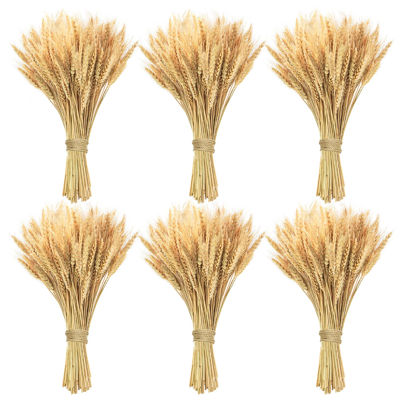Phliofd Natural Dried Wheat Stalks