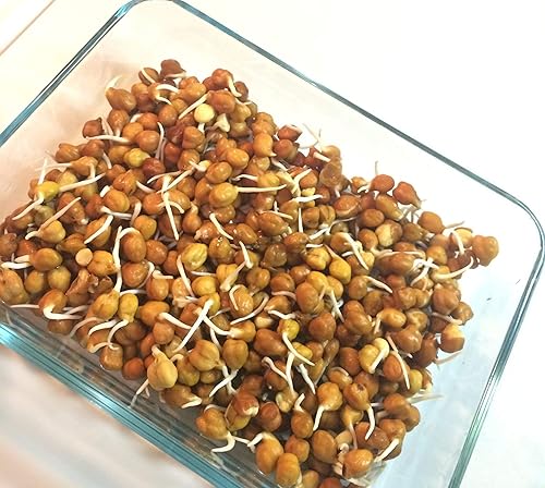 Desi Kitchen Kala Chana (garbanzo negro pequeño) 4 libras por Rani Foods Inc