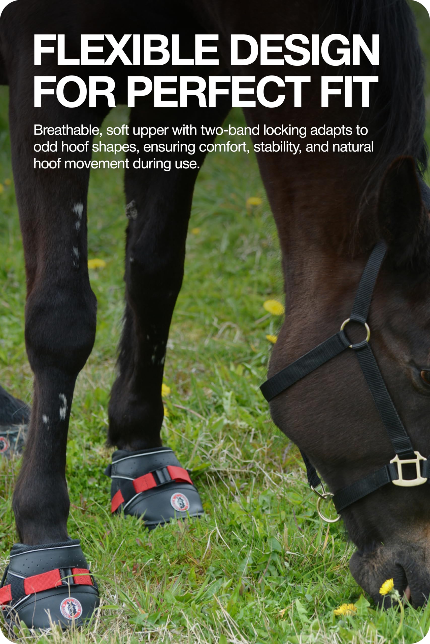 Equine F. Ultra Joggin Shoe 11, schwarz