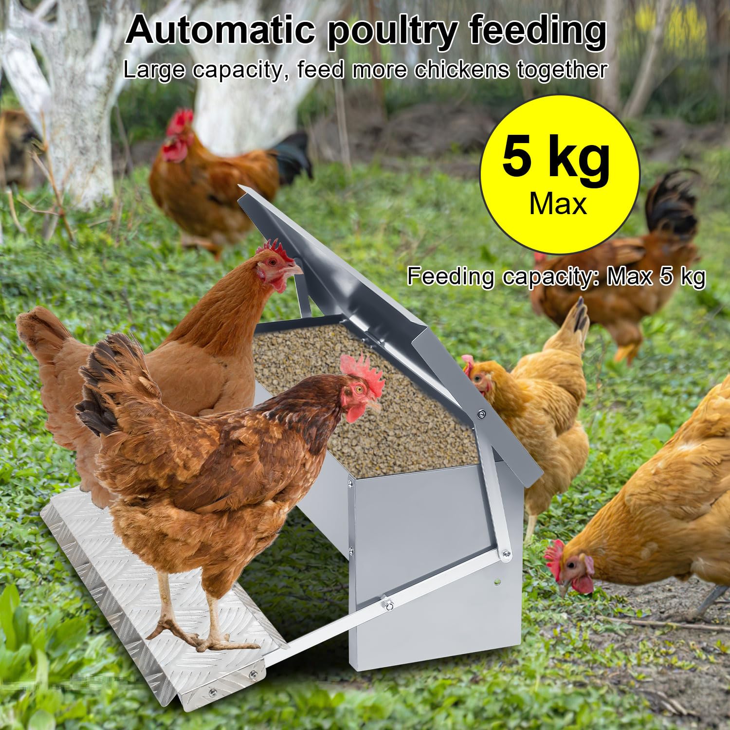 3 comederos automáticos para pollos, 5 kg, con tapa, pedal automático, comedero automático, comedero para pollos, resistente al agua