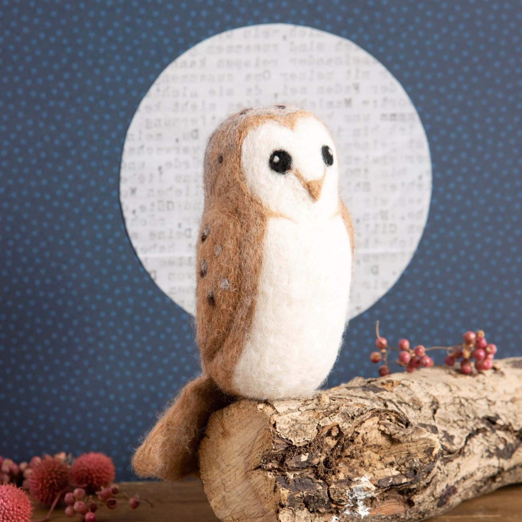Hawthorn Handmade Kit per infeltrimento ad ago – Kit per infeltrimento in lana | Calming Self-Learning Craft per adulti | Ottimo per principianti ( Barbagno