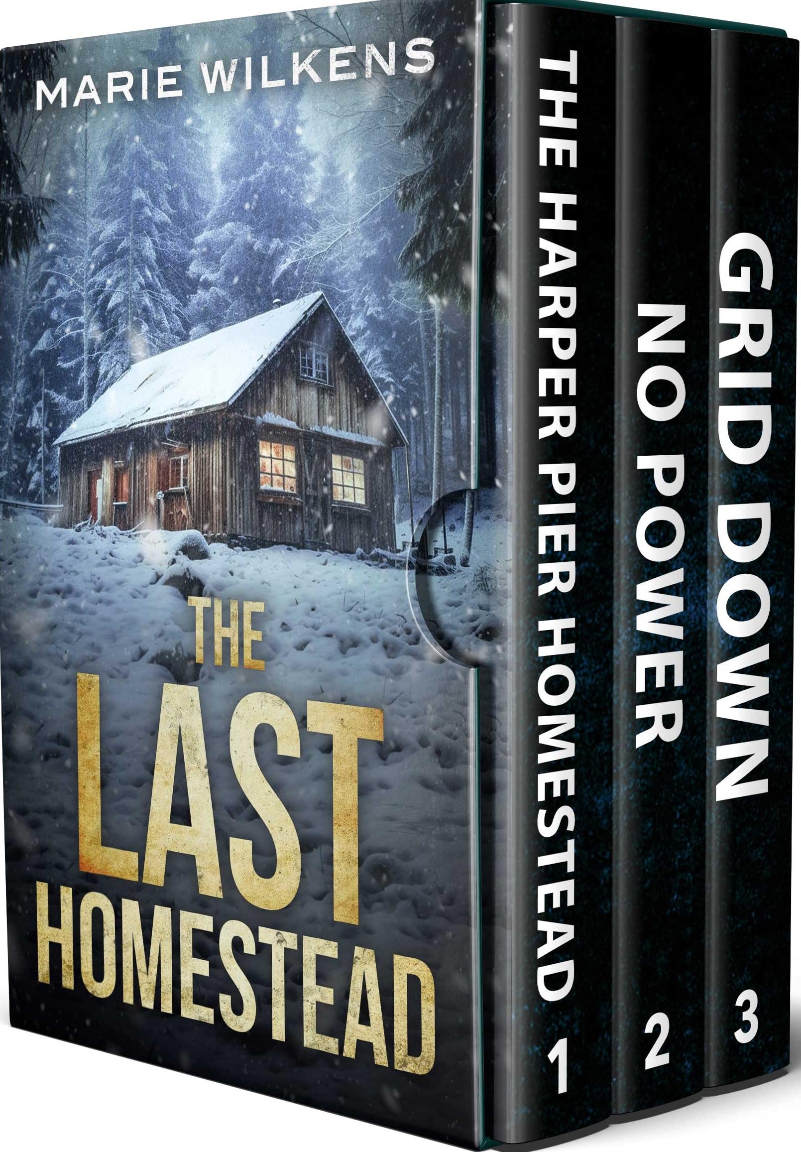 The Last Homestead EMP: A Small Town Post Apocalypse EMP Thriller Boxset