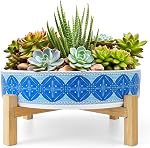 Succulent Pots - 11 Inch Large Plant Pots Ceramic Bonsai Pots with Drainage Stand, Shallow Succulent Planters for Indoor Plants Decorative Flower Cactus Planter Bowl