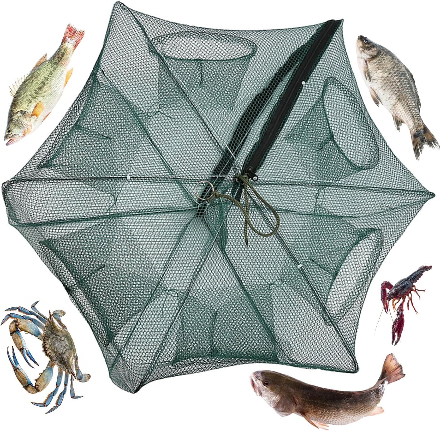 Red de Pesca Plegable Cremallera 6 Agujeros Automática Nailon Trampa Peces Cangrejo