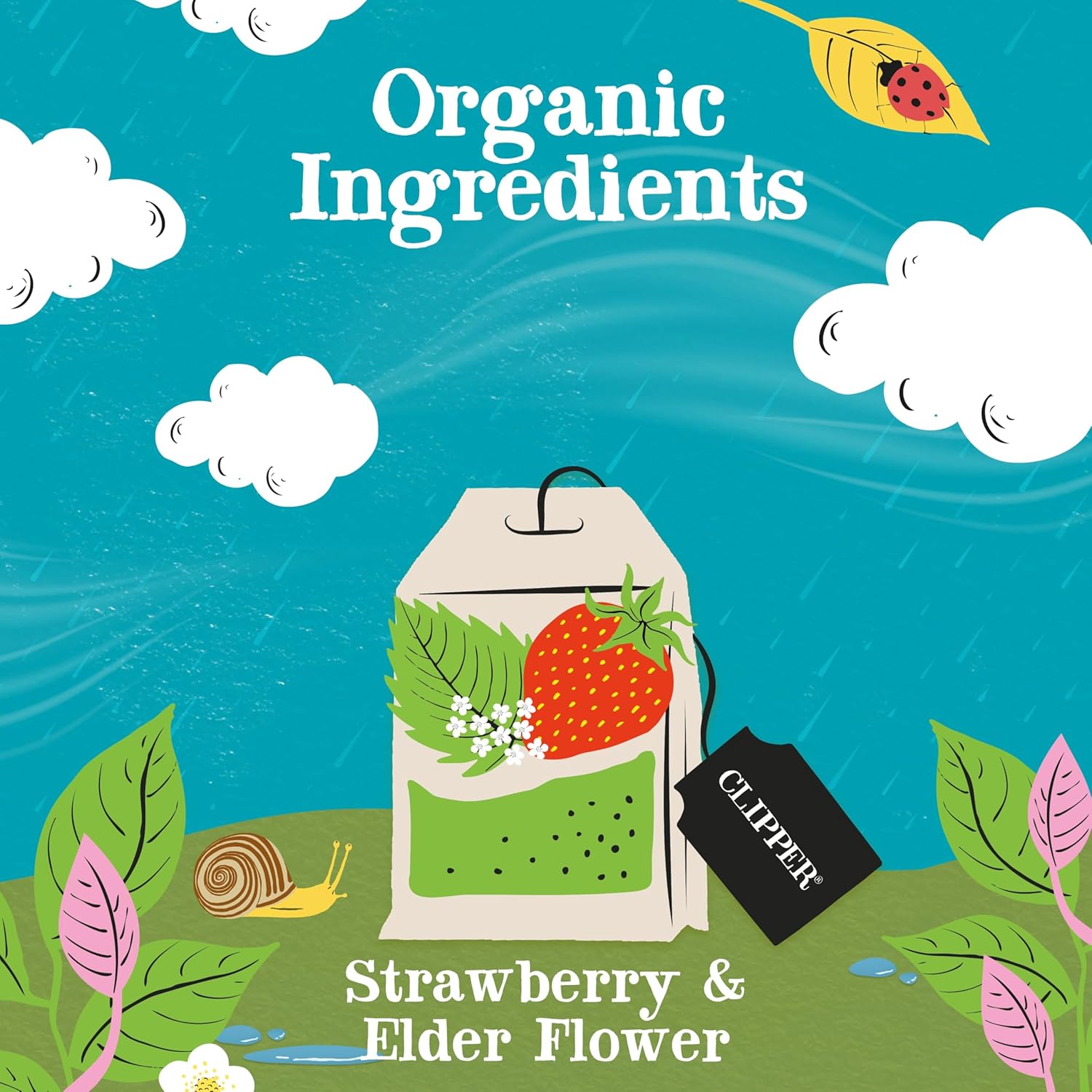 Clipper Tea Strawberry & Elderflower Herbal Tea – Caffeine Free, USDA Organic, Great Hot or Iced – Refreshingly Fruity, Natural, Fair & Delicious – 200 Tea Bags