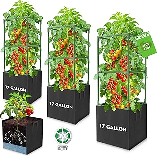Tomato Cages and Grow Bags