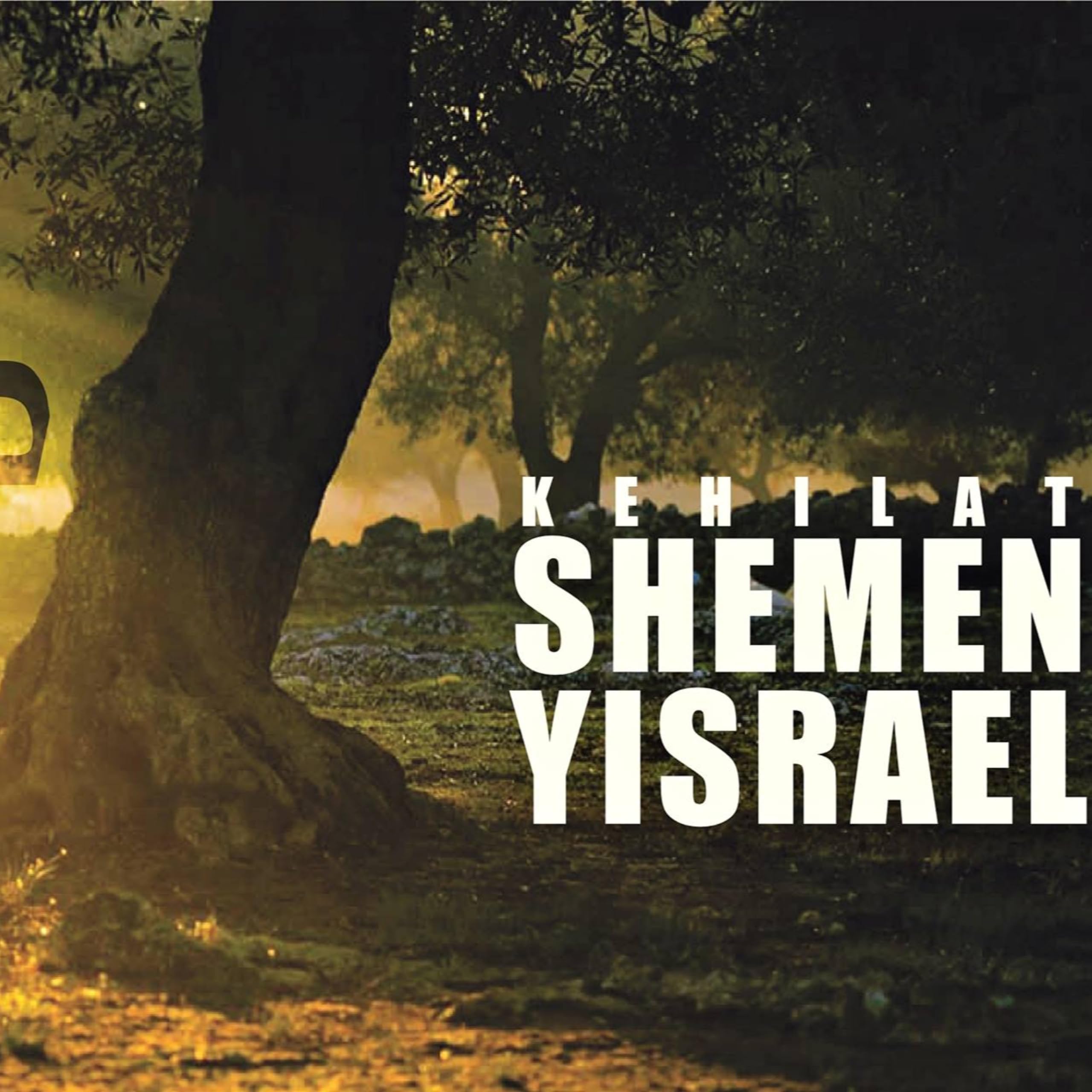 Parashah: Estudos aprofundados sobre a Torah.