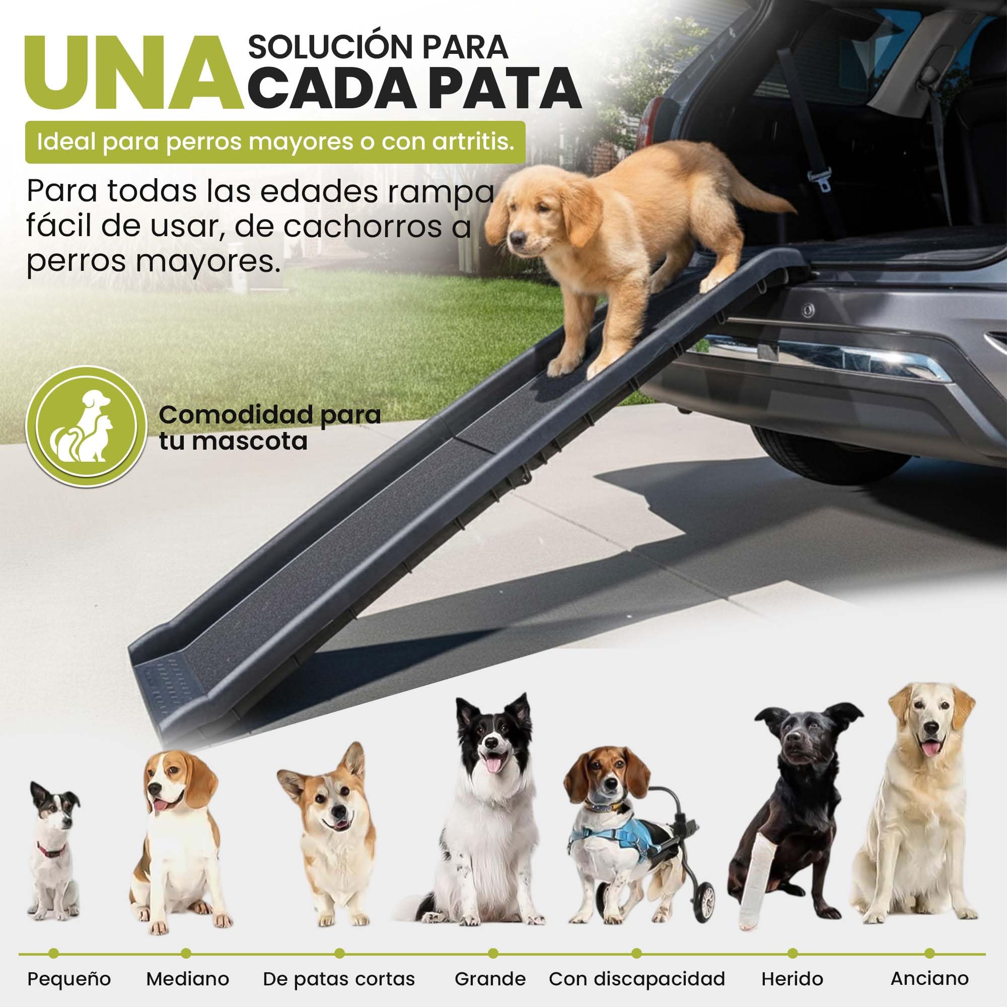 all Pets United® Rampa Plegable para Perros y Gatos Peldaño de Entrada para el Maletero del Coche Escaleras para Mascotas para Animales Grandes y pequeños (Rampa)