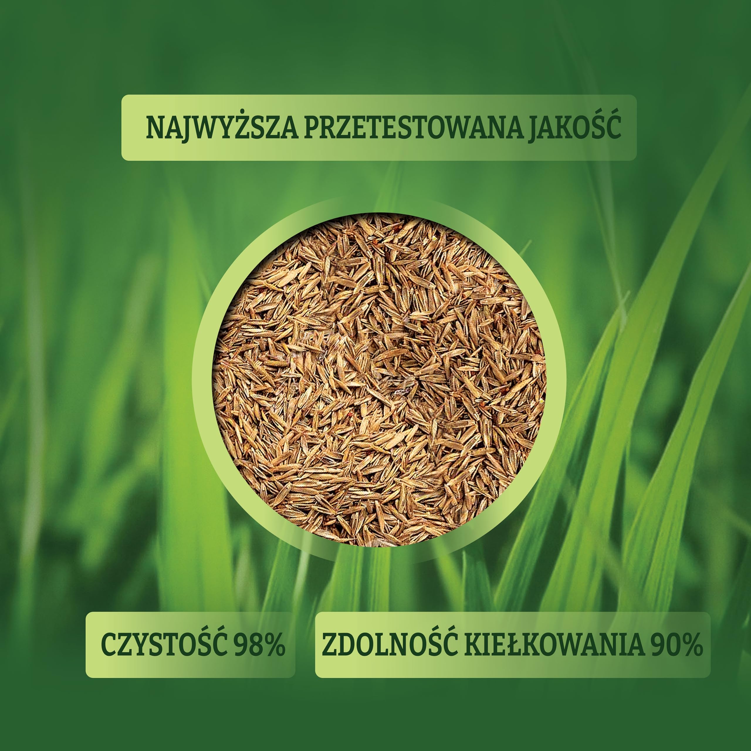 LERAVA Champion Nasiona Trawy odporne na suszę 30m² - trawnik o niskim zapotrzebowaniu na wodę - wytrzymały na deptanie - odpowiedni do wszystkich rodzajów gleby