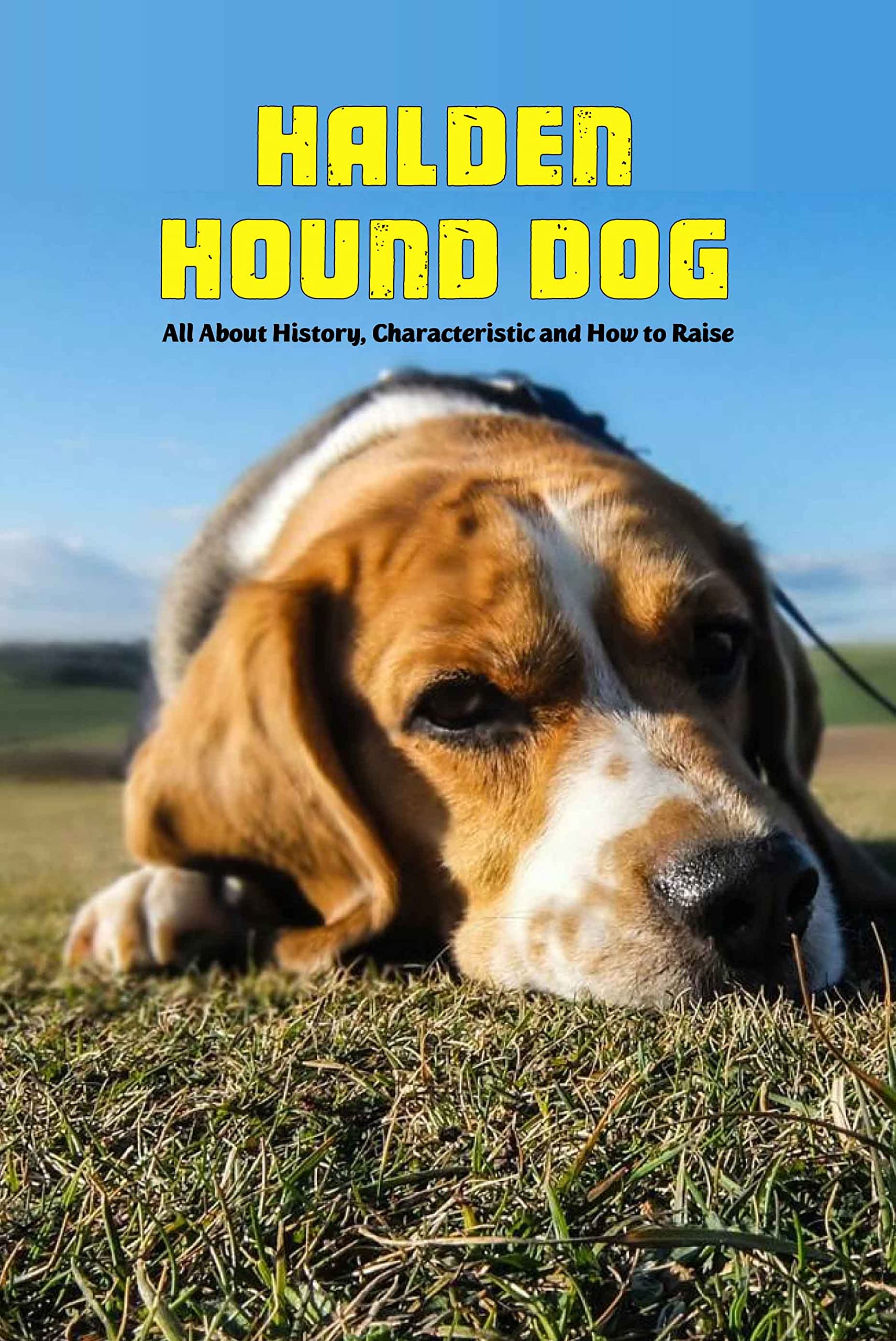 Halden Hound Dog: All About History, Characteristic and How to Raise: Halden Hound Dog Breed
