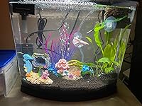 Review Image by Cory Cory