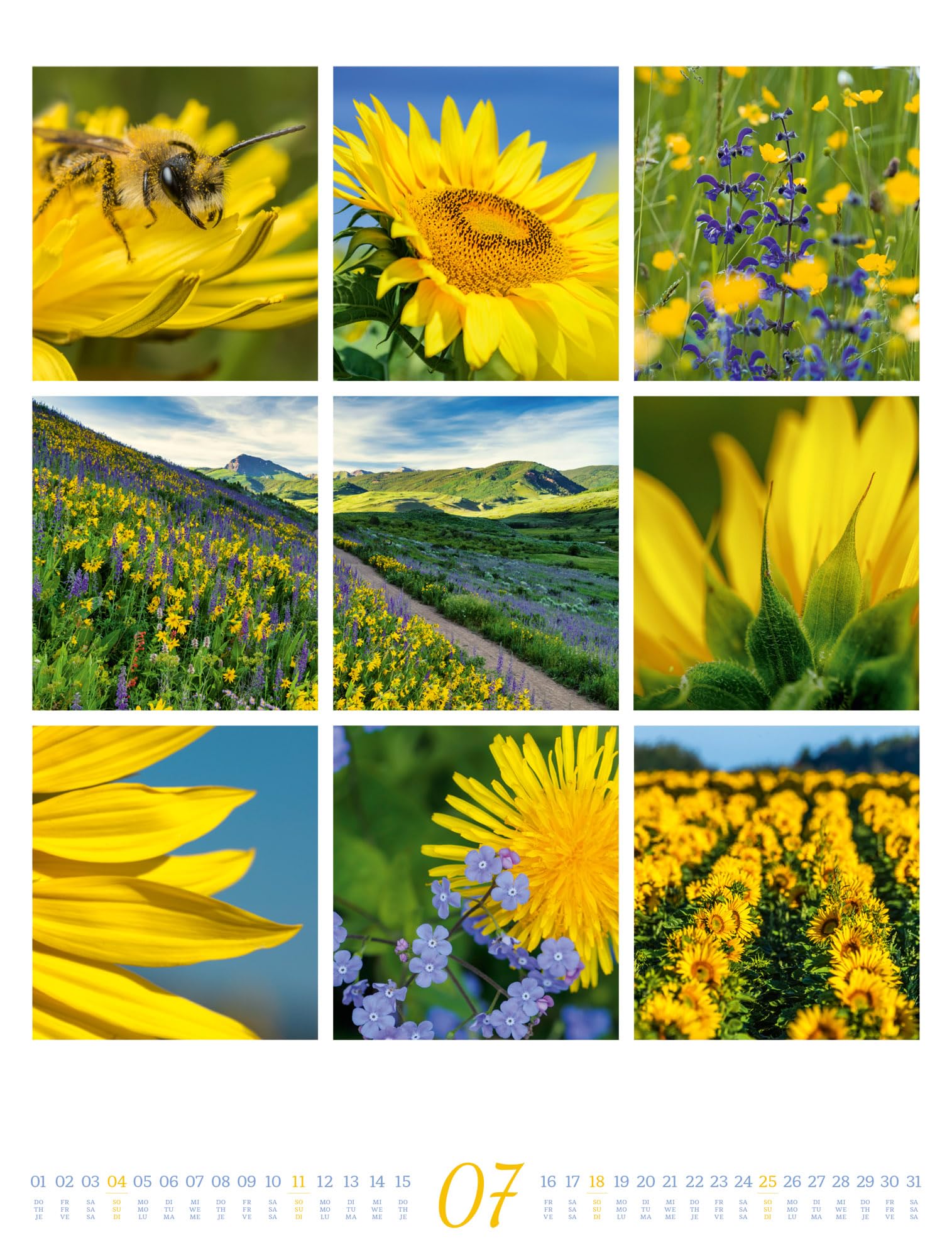 Inspiration Natur Kalender 2027: Vielfältiger Natur-Kalender im großen Hochformat (50x66 cm) | Mehrteilige Bildmosaike im Triplet-Stil