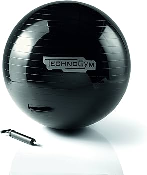 （（Technogym））WELLNESS BALL Yoga ball for pilates, fitness: Technogym Wellness Ball Home