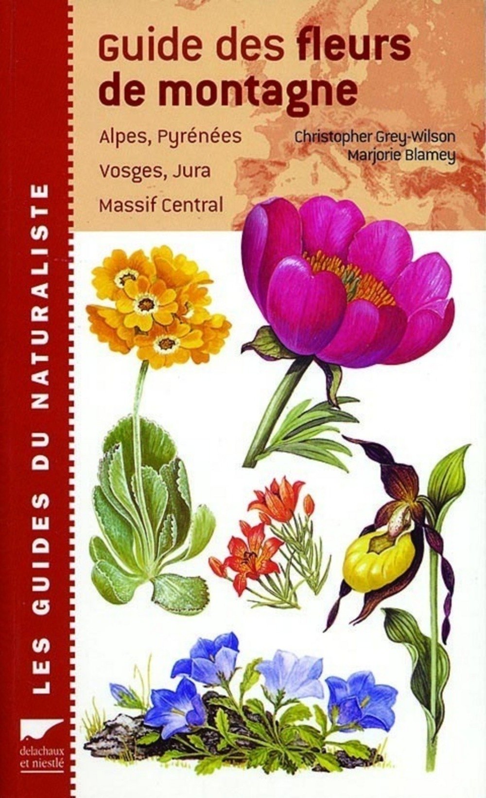 Guide des fleurs de montagne