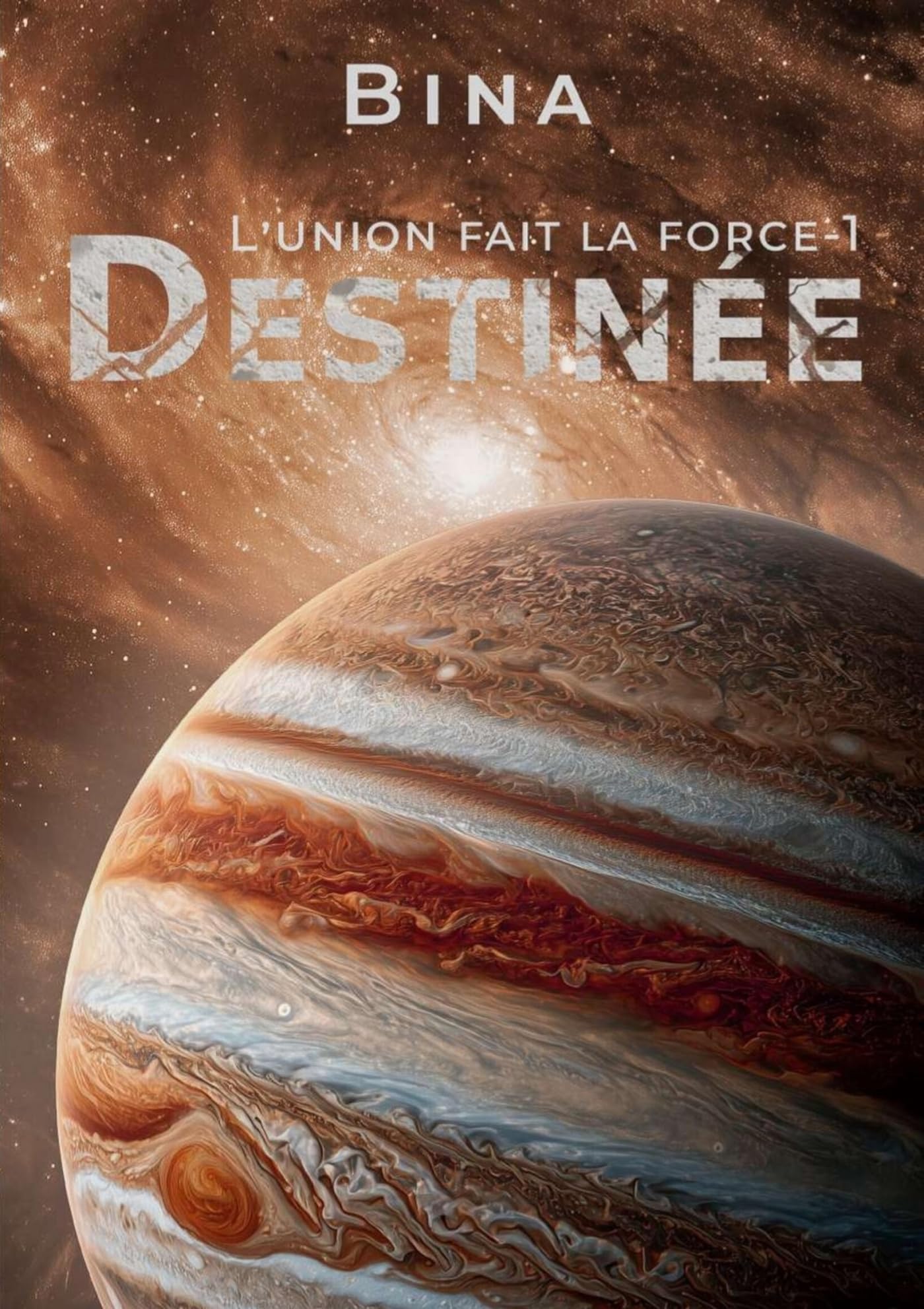 L'union fait la force - 1: Destinée