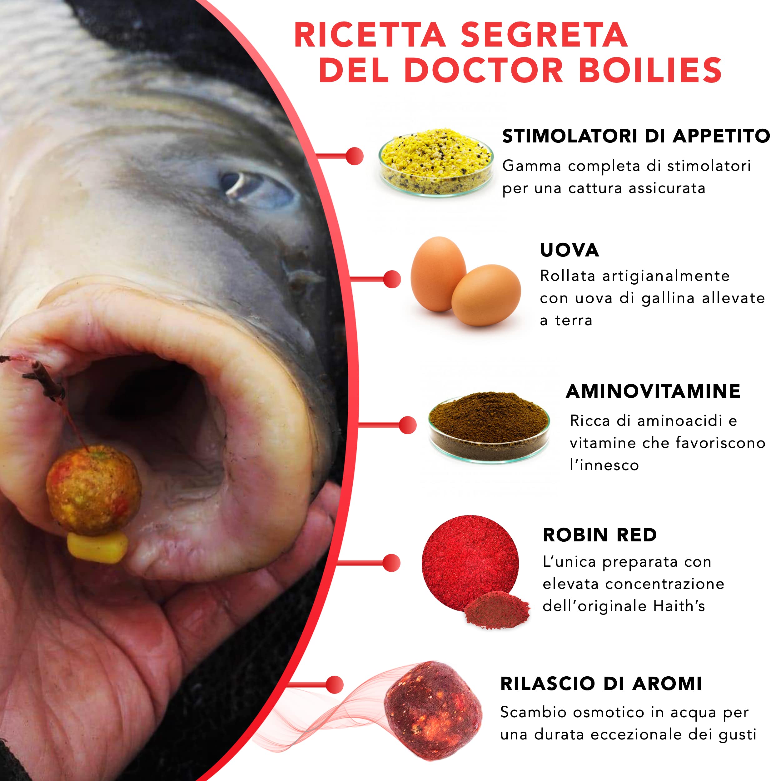 Doctor Boilies Boiles Carpfishing da Innesco accessori Pesca Carpfishing diametro 20 mm Rollate artigianalmente