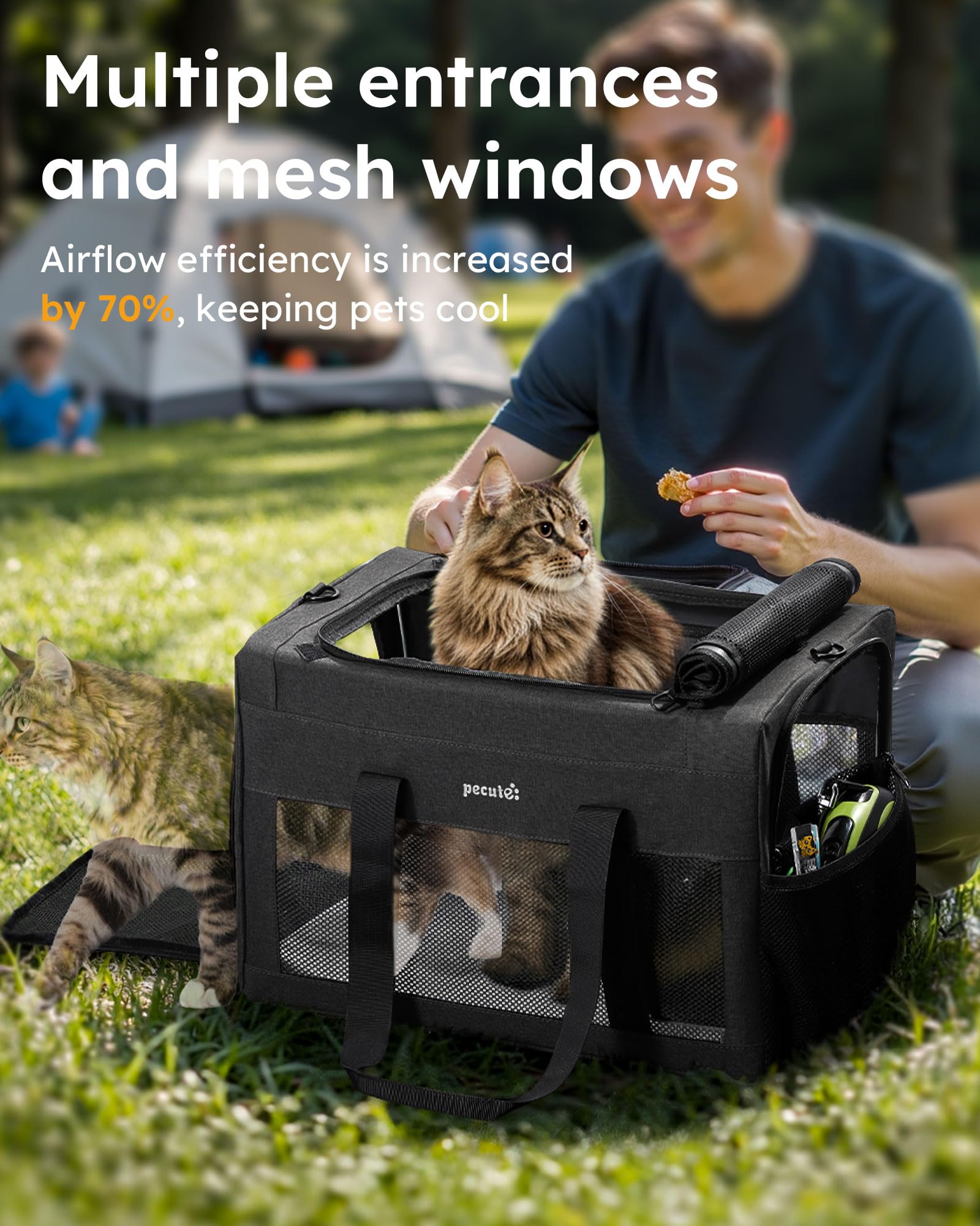 Amazon.co.jp: Pecute ペットキャリーバッグ 手提げ ショルダー