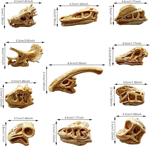 Miniatura 2 de 35 piezas de dinosaurio fósil esqueleto dinosaurio esqueleto juguetes dinosaurio arena excavar decoración de fiesta