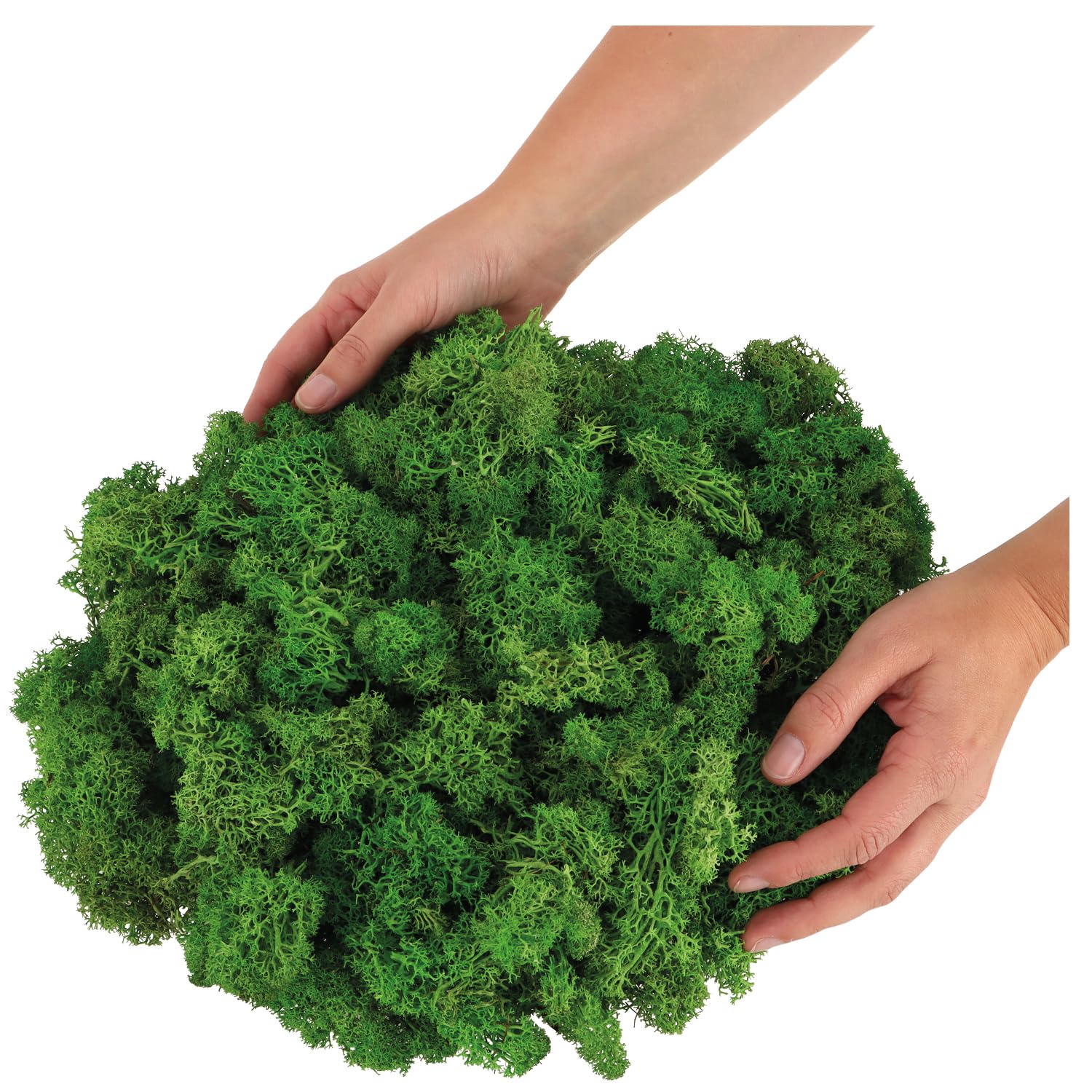 com-four® Muschio Decorativo da 250 g - Muschio Artigianale Fai-da-Te - Vero Muschio Decorativo per Lavorazione e Decorazione - Muschio Naturale per Progetti Artigianali (Muschio Decorativo - 250 g)