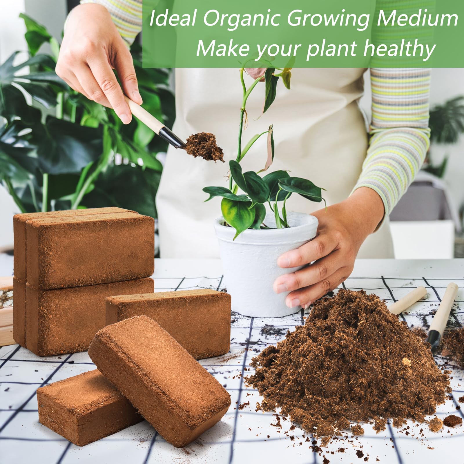 Amazon.com: ZENFUN 12 Packs 17 lb Coco Coir Organic Brick for Plants, 100%  Natural Coconut Coir Pith, Compressed Coco Bricks, Coco Fiber for Soilless  Gardening, High Nutrition Coconut Soil Coco Fiber :