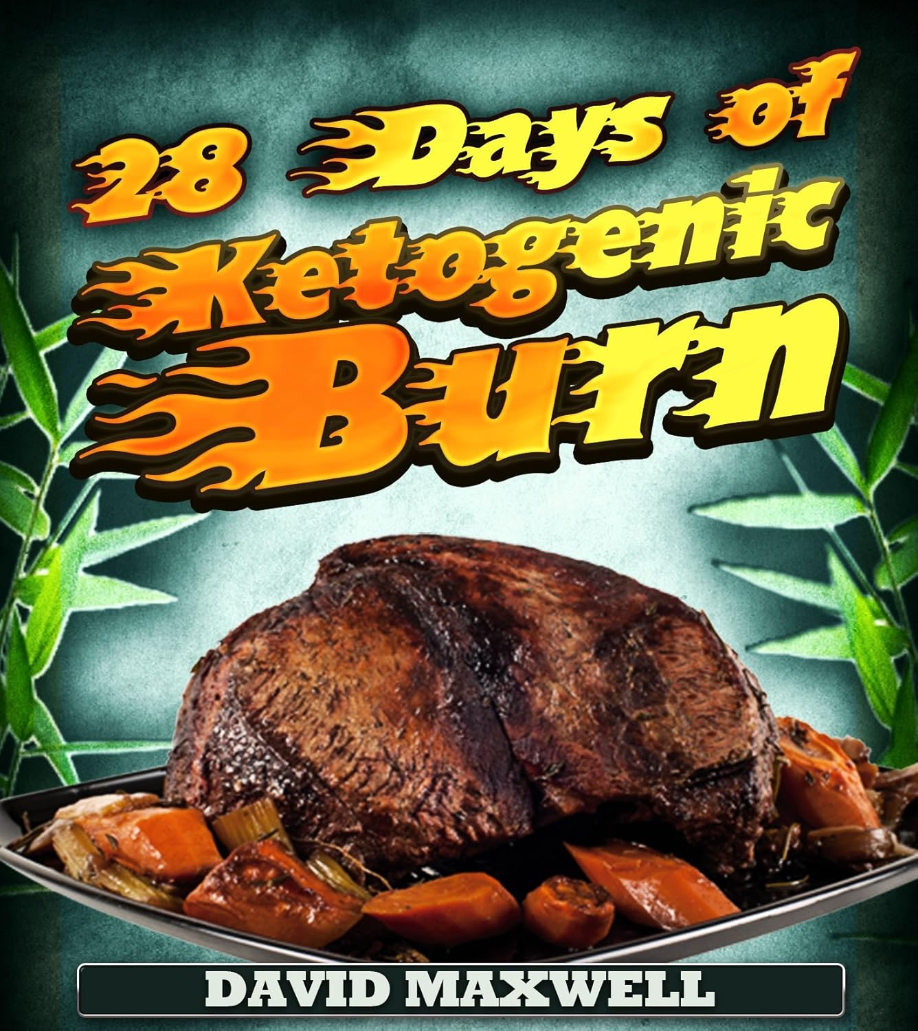 28 Days of Ketogenic Burn (Ketogenic Diet Book 1) eBook Maxwell