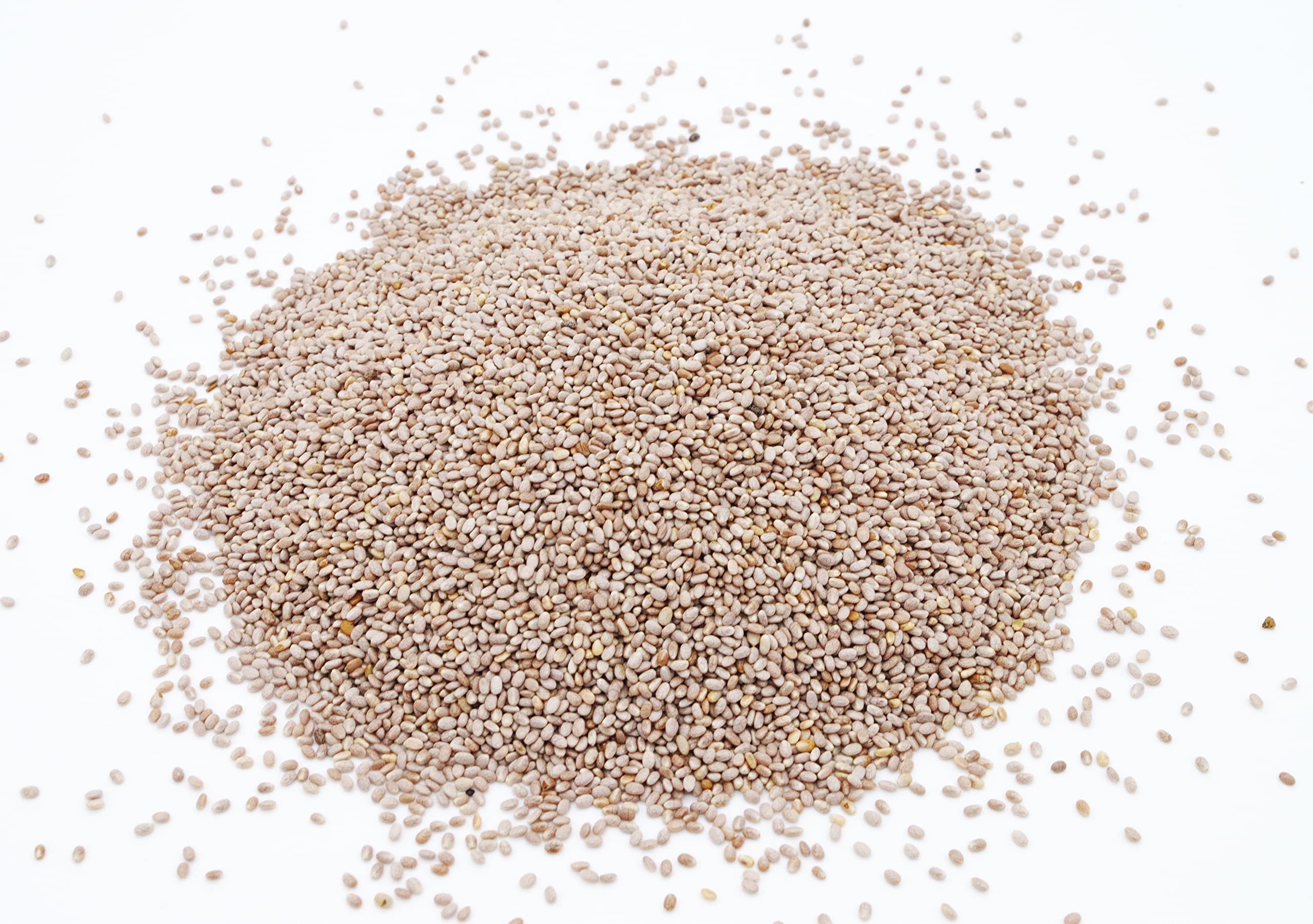Chia Samen weiß bio 25 kg