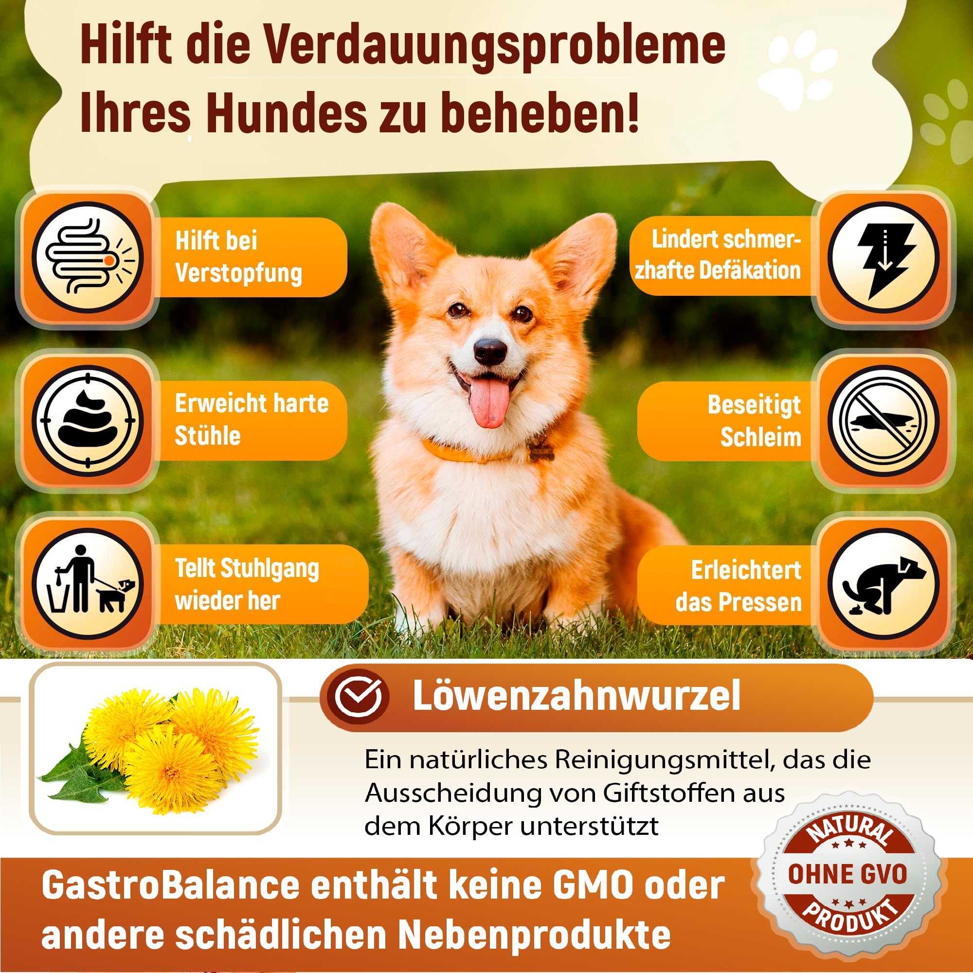 Linderung Von Verstopfung beim Hund – 60 weichen Kausnacks Abführmittel für Hunde 100% natürliche Wirkstoffe (Sapore di Pancetta)