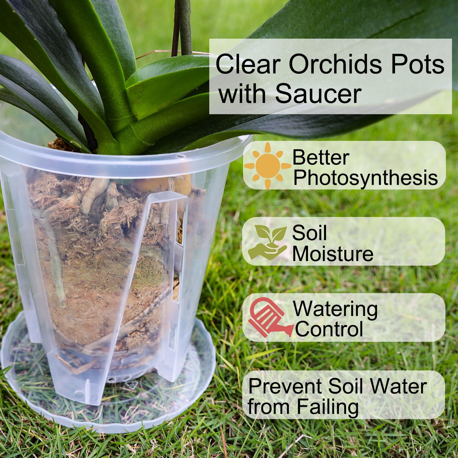 Lot de 6 pots à orchidée transparents avec trous de drainage (12, 12 pouces)