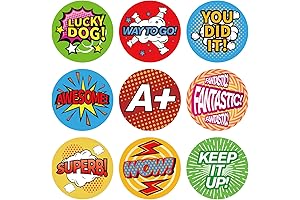 1008 PCS Caught Being Good Stickers for Kids