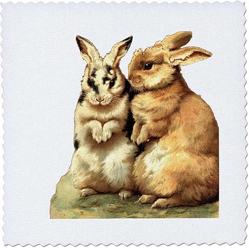 3dRose Cassie Peters Vintage - Vintage Rabbits - Quilt Squares (qs_358723_3)