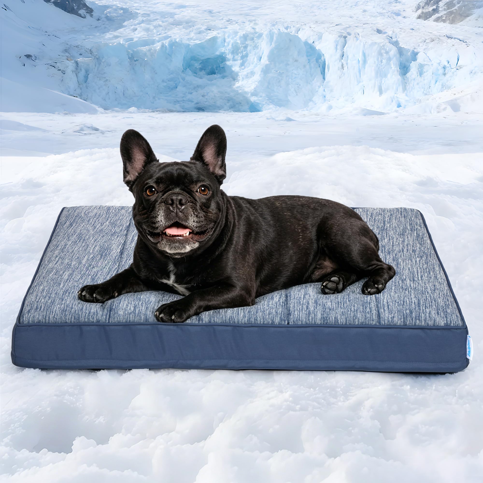 ZAKAPAWS Cooling Dog Bed for Medium Dogs - Orthopedic Pet Beds with Memory Foam, QMAX>0.5, Waterproof Removable Washable Cover for Hot Weather, Wander Blue, 30" L x 20" W x 3" H