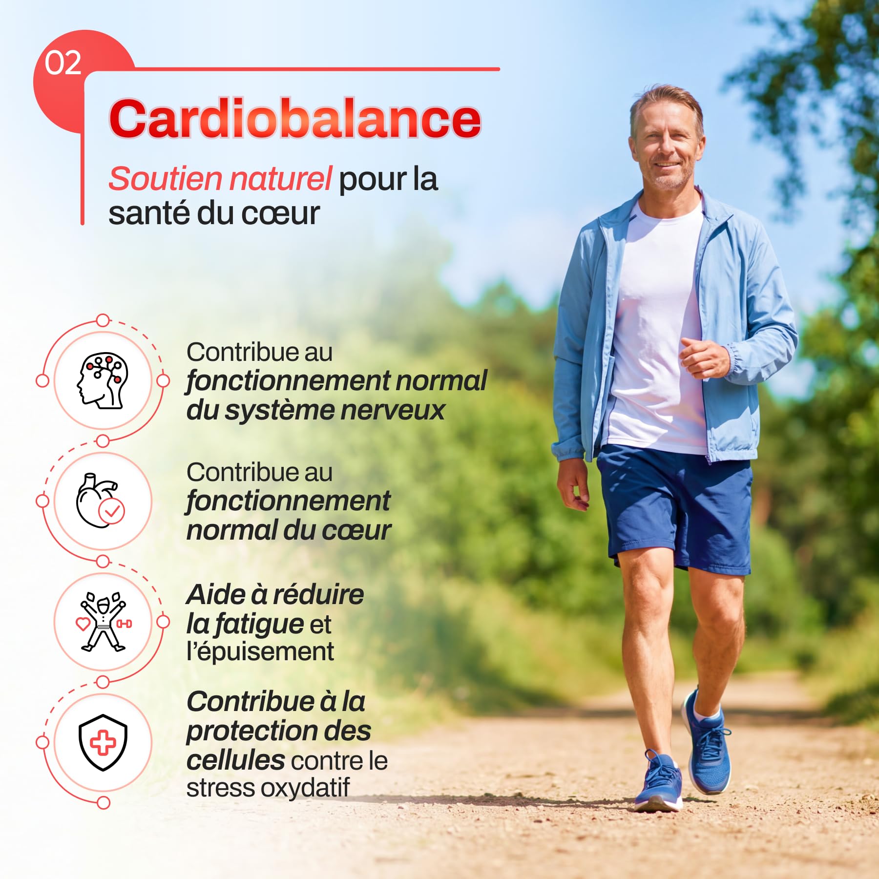 Gélules Cardiobalance | Santé du Cœur | Extrait de Canneberge 450mg + Coenzyme Q10 + L-Arginine | Formule Cardiovasculaire avec Vitamines B1, B6, B9, Magnésium | 40 Gélules