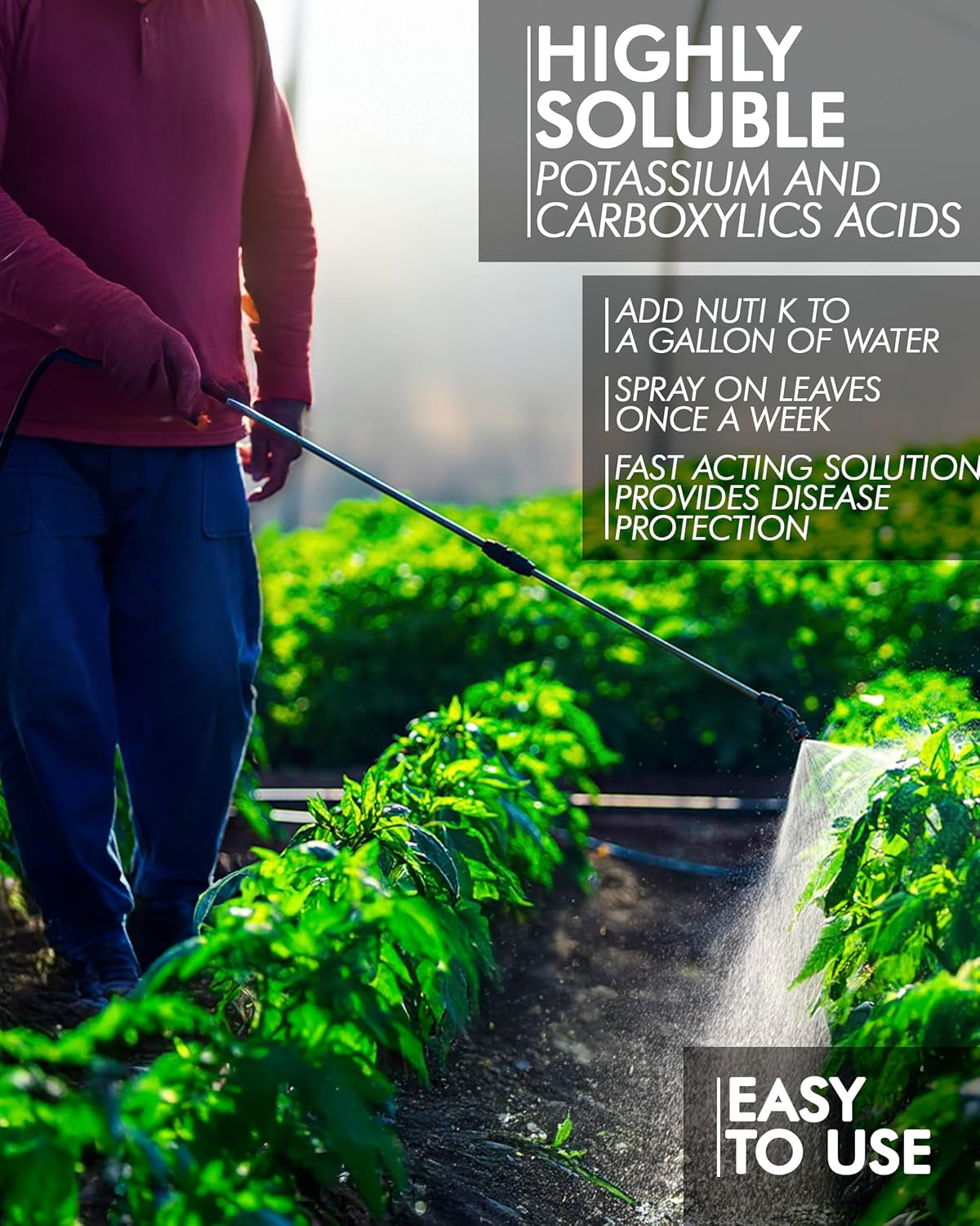 Nutri K Potassium Fertilizer for Plants - Enhances Flow & Uptake for Potting Soil Indoor Plants - Corrects Deficiencies & Prevents Blotchy Ripening in Fruits & Vegetables - 2.5 Gallons