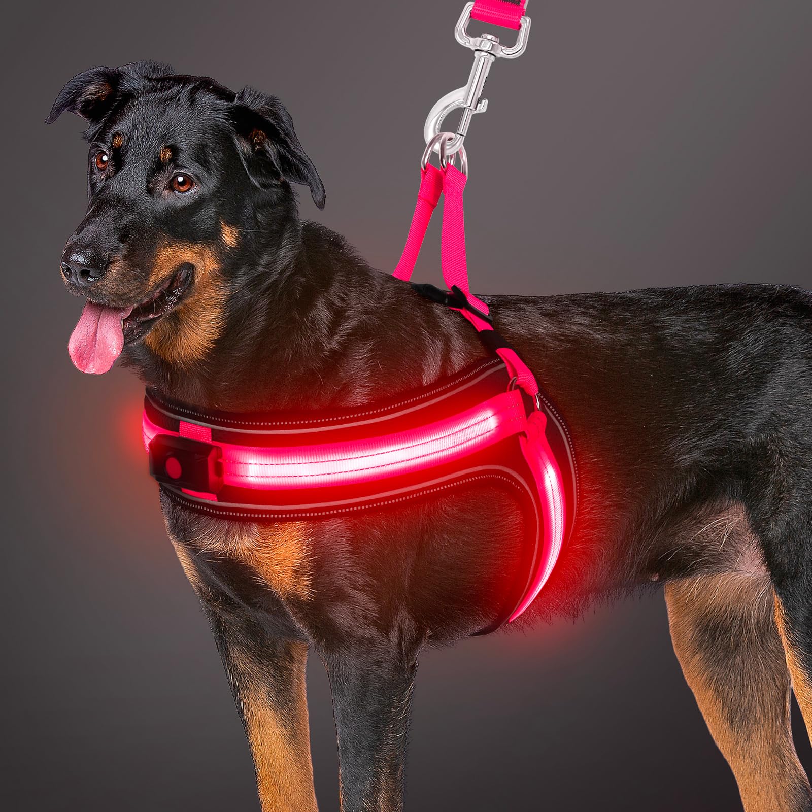BiPawTi LED Dog Vest Harness, Light Up Dog Harness for Large Dogs USB Rechargeable 3 Flashing Modes Glow in the Dark