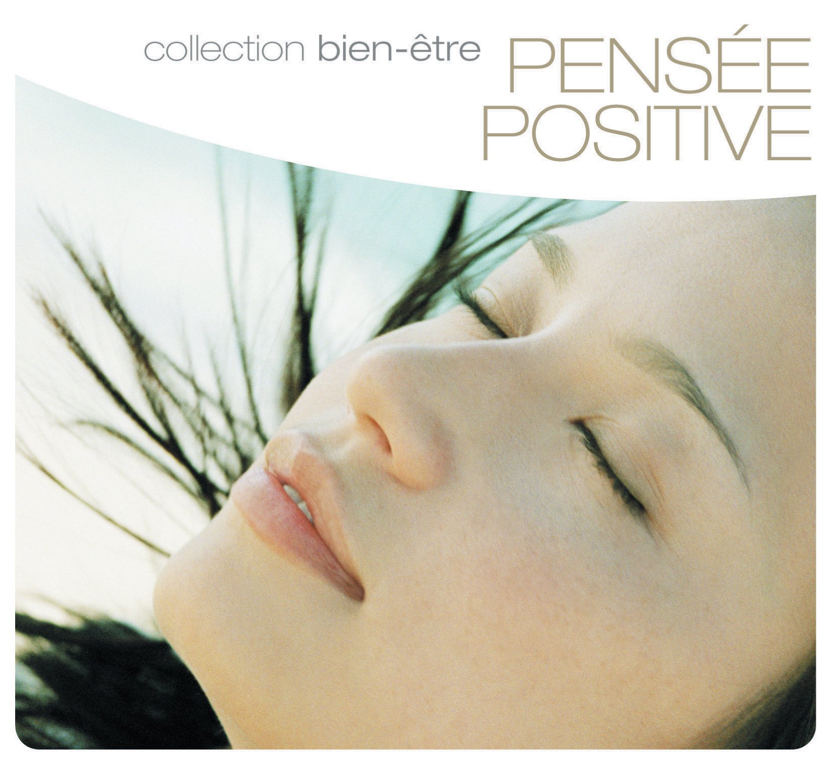 Pensee Positive [Audio CD] Various