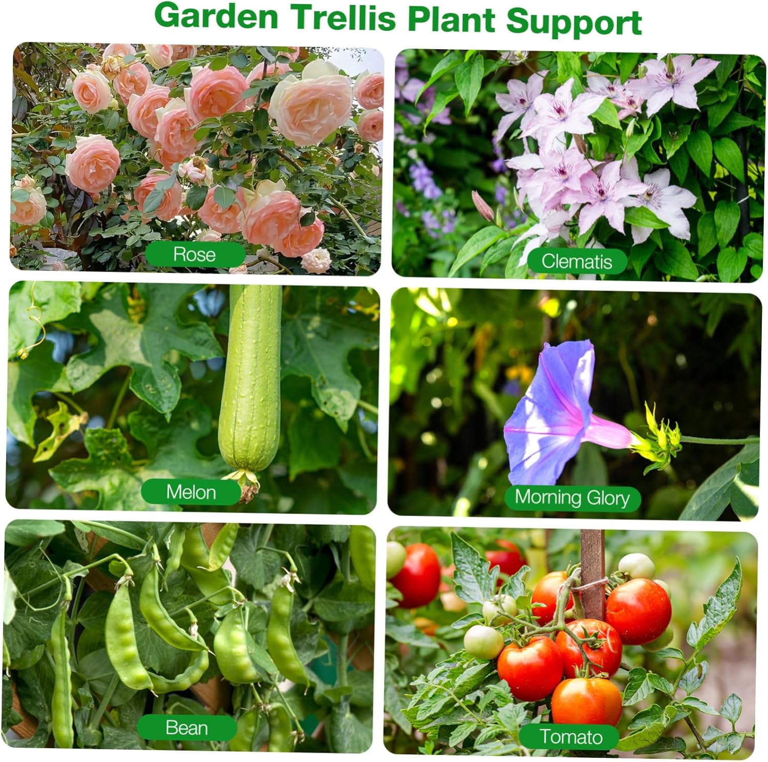 Garden Plant Climbing Frame Stand Sturdy Folding Trellis for Vines Vegetables and Flowers Space-Saving Support Structure for Vertical Growth