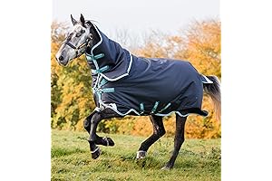 RAMBO horse blanket