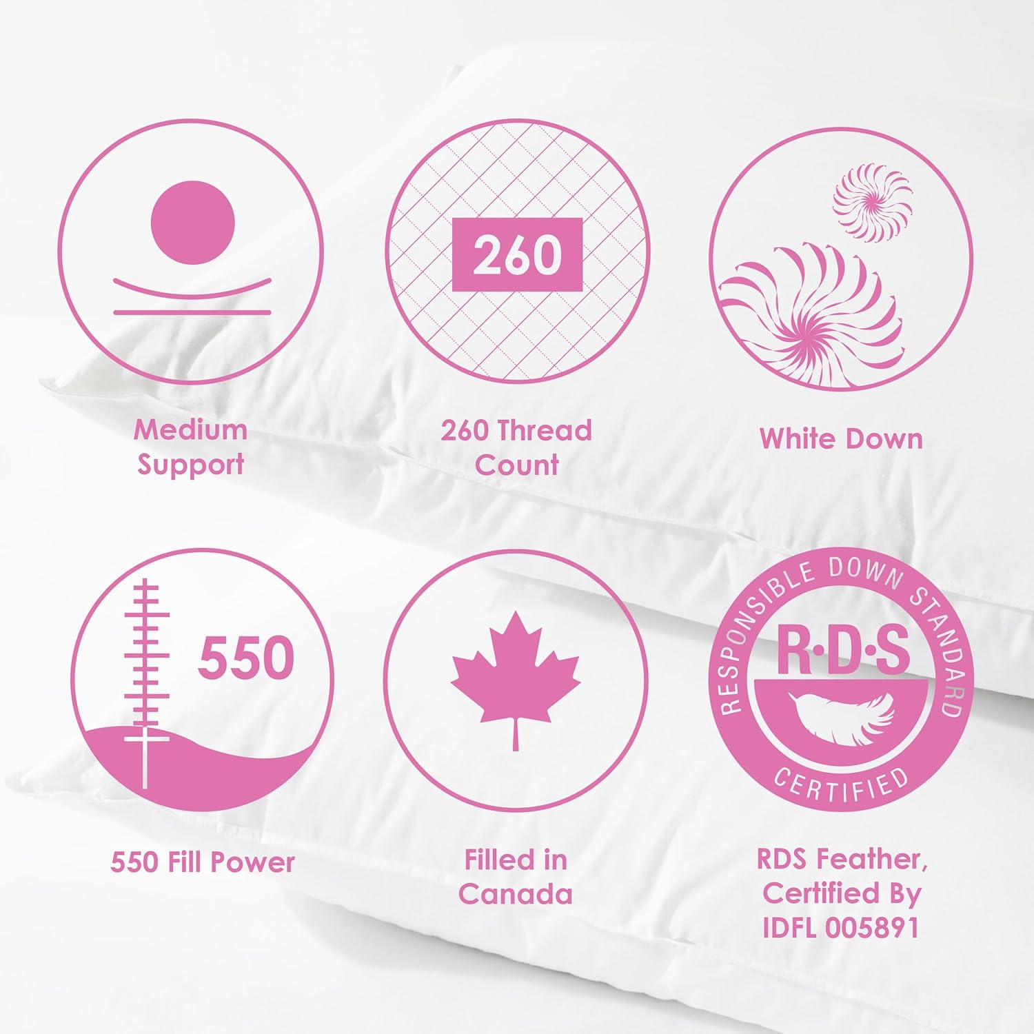 Canadian Down & Feather Co. - 1 Pack Medium Support White Down Pillow Standard Size - 260 TC Shell 100% Cotton - Filled in Canada