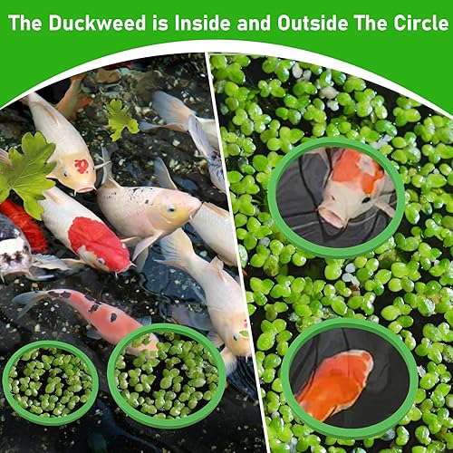 Miniatura 4 de FWUNYVN 5 anillos flotantes para plantas y anillos de alimentación de peces, anillos de alimentación de peces flotantes para acuario, anillos de