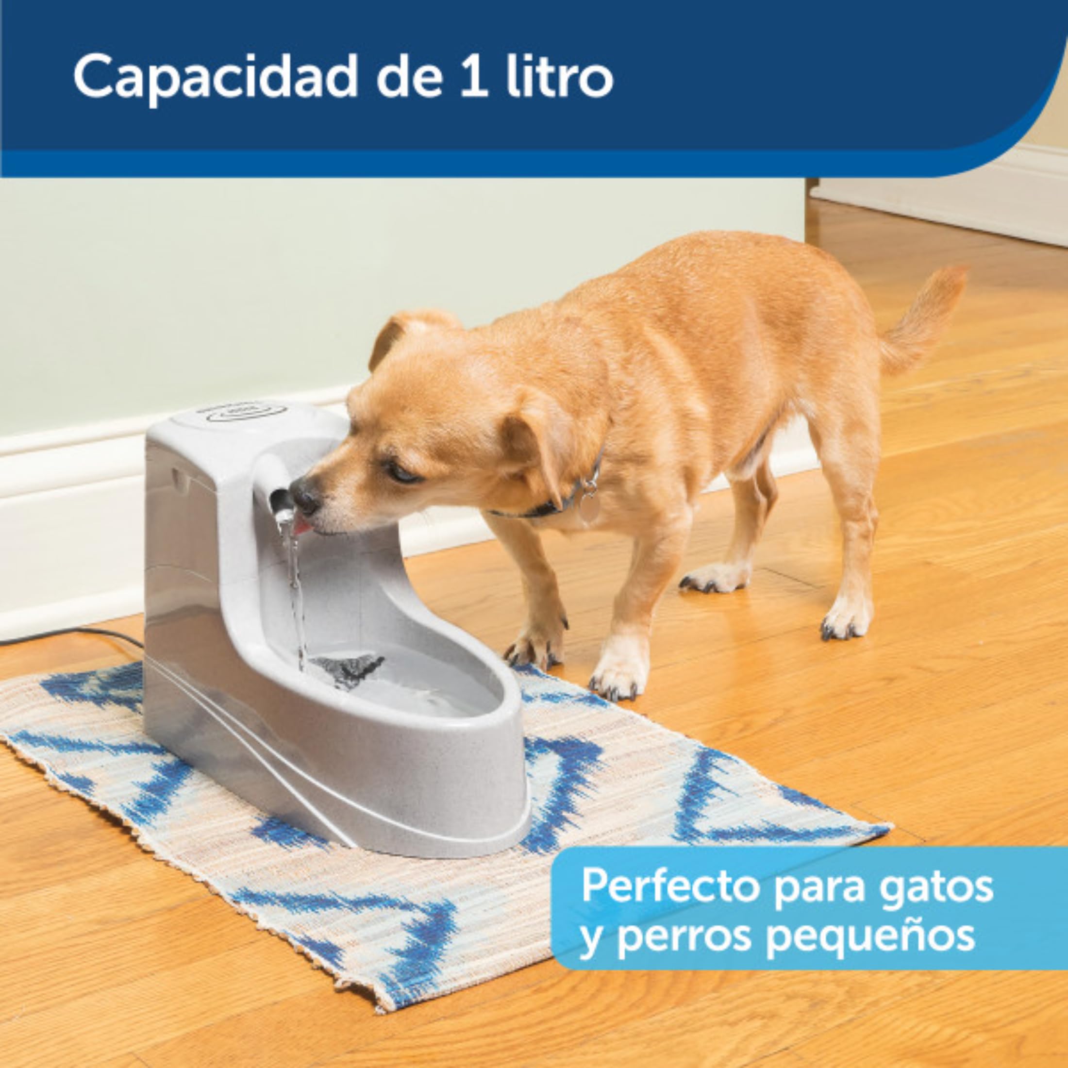 PetSafe Drinkwell mini fontanna do picia, podwójny system filtrowania, odpowiednia dla małych psów i kotów, pojemność 1,2 l