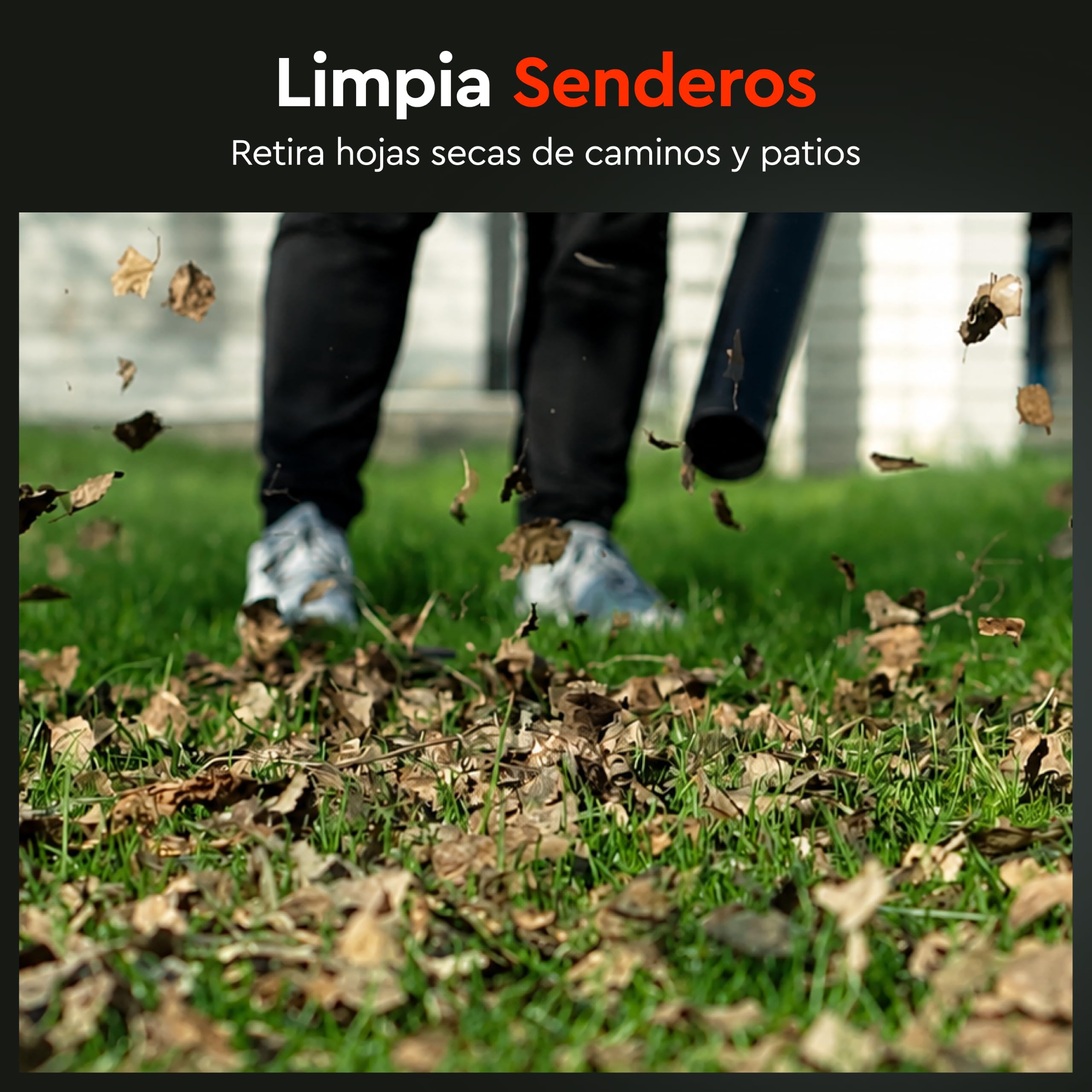 Soplador de Hojas a Batería DVB-200 - Sopla Hojas, Hierba Seca y Residuos Ligeros del Jardín - Muy Ligero de Solo 1 kg - hasta 240 km/h de Potencia - Incluye Batería de 4Ah y Cargador - por Dnipro-M