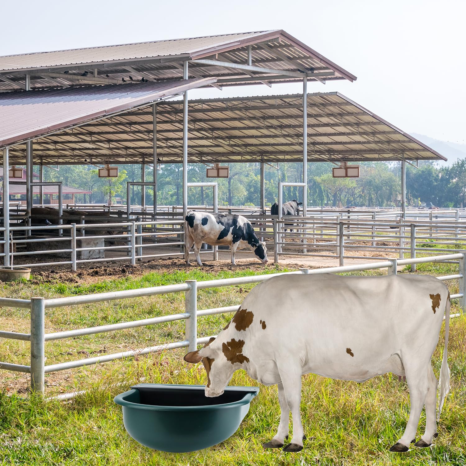 QWORK® 1 Stück Tränke aus Kunststoff, Automatische Tränke, Ideal für Rinder, Pferde, Schweine