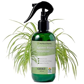 Spider Plant Fertilizer Spray by Perfect Plants | Best Liquid Plant Food for Spider Plants or Spider Ivy | Gentle nutrients for Tropical Indoor houseplants 8 fl oz