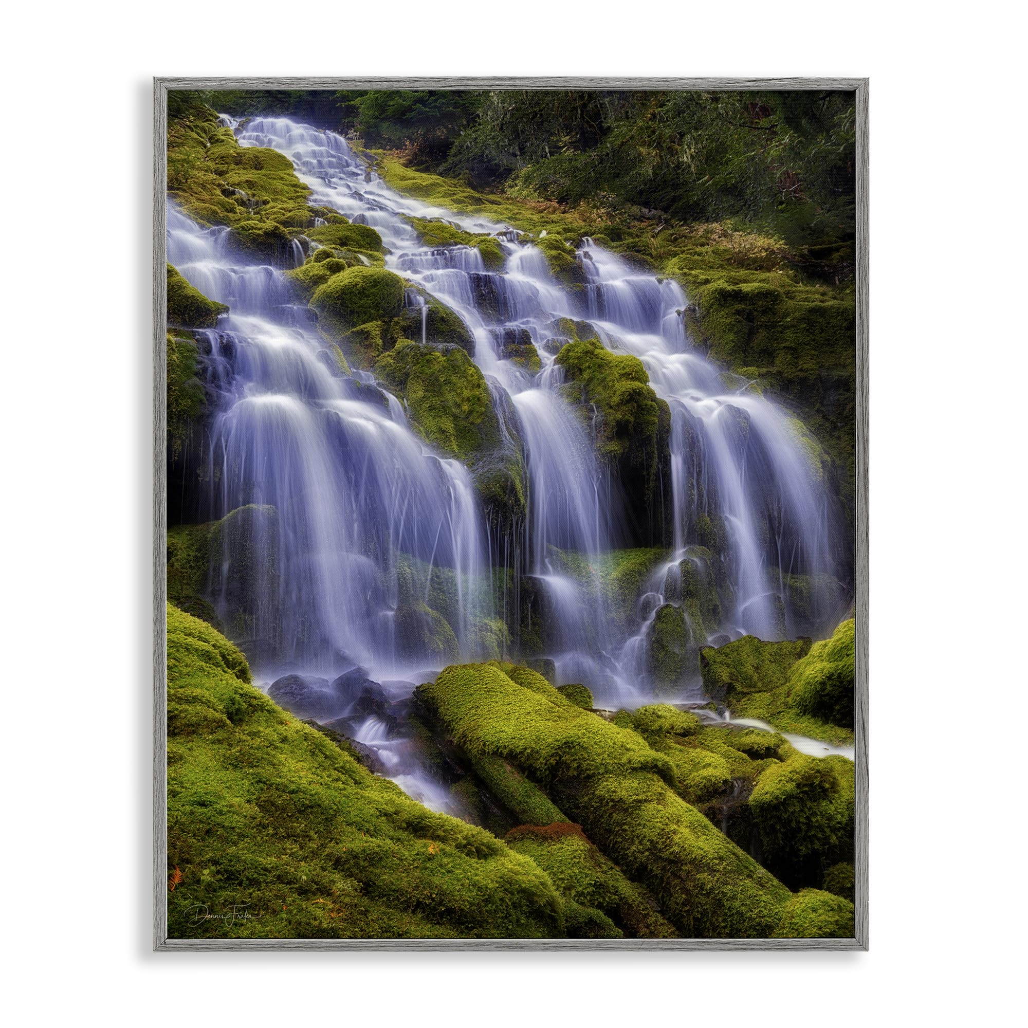 Stupell Industries Farmhouse Gray (Textured) 'Upper Proxy Falls'| Framed Giclee Art
